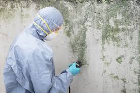 Professional Mold Removal & Remediation in Bradley Gardens, NJ